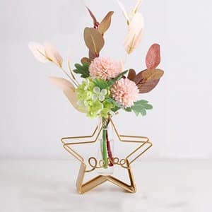 Aashralya™ Star Shape Glass Tube Vase | Home Decoration Glass Test Tube Iron Art for Home Decoration