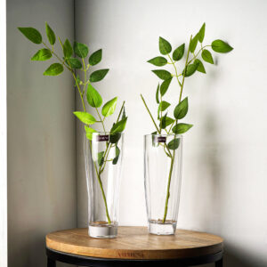 Minimal See-Through Flower Vase