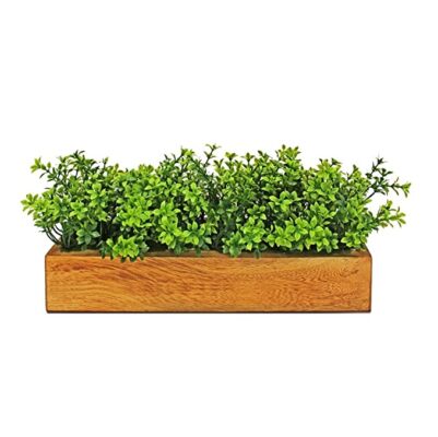 fancymart Artificial Gardenia Plant Bunch in Wood Planter, Home and Office Decor Plants for Decoration, Realistic Green Decorative for Interior, Living Room, Office Desk