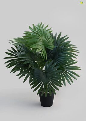 Blooming Floret Artificial Palm Plant for Home Decor/Office Decor/Gifting | 12 Leaves | with Basic Black Pot | Natural Looking Indoor Plant