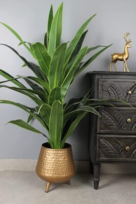 Elemntl Artificial Large Floor Plant with Plastic Pot for Home Decor (Height: 4 feet) | Decoration Items for Living Room | Decorative Table Top Indoor Plants Bonsai for Office (Dragon Plant 4 feet)