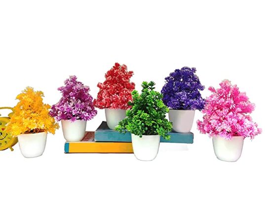 AKP Artificial Plants with Pot for Home Decoration Small Size ( Pack of 6 ) (Round Pot)
