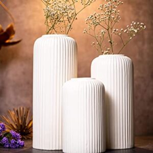 KREATIVE ART'S Modern Ceramic Flower Vase for Living Room, Flower Pots for Home Decoration , Home Decor, White Vase (Set of 3PCS, Off White)